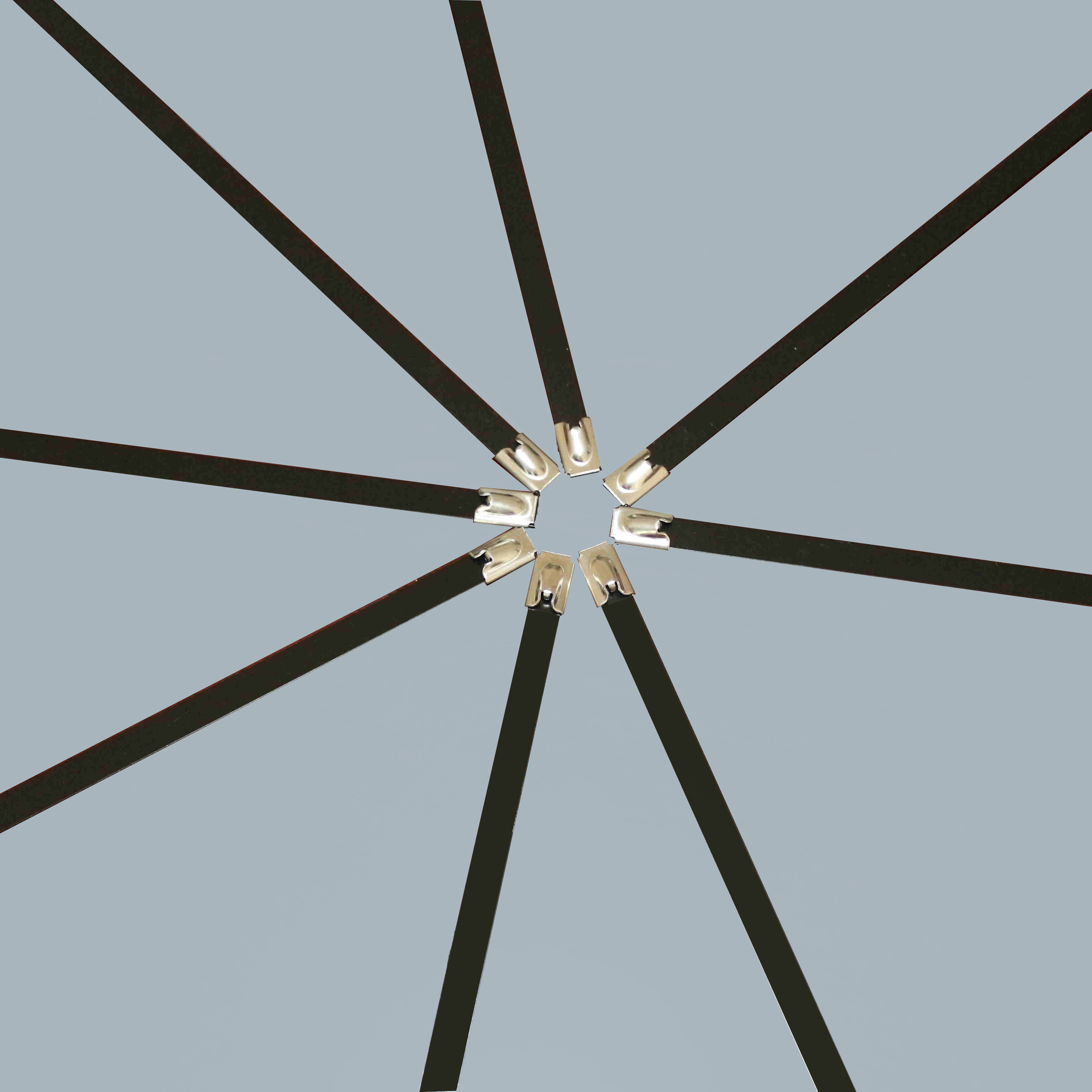 不锈钢喷塑滚珠紧锁式扎带